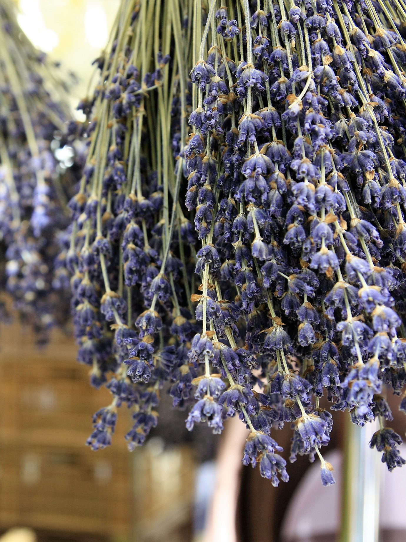Hanging lavendar.