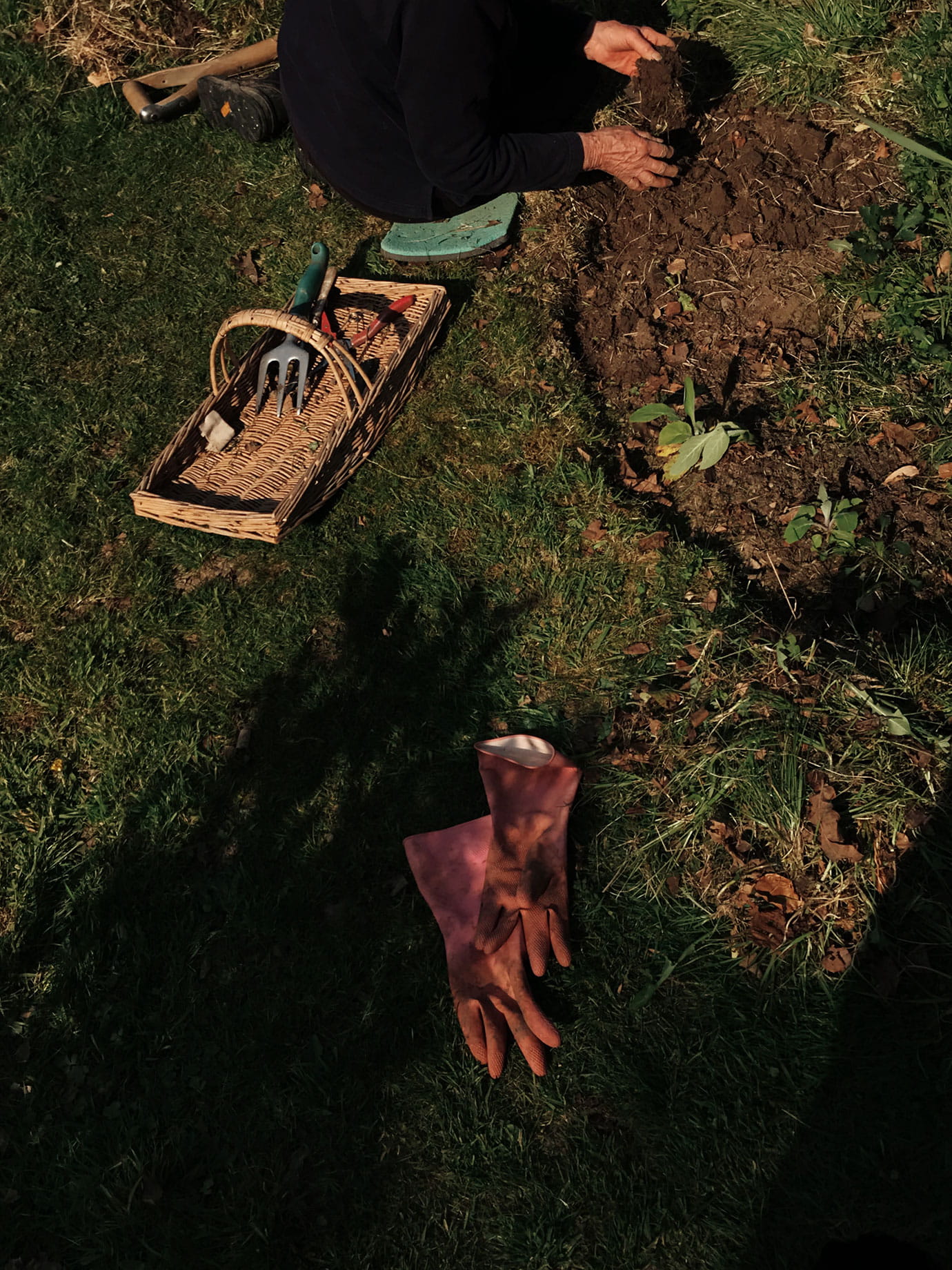 A person gardening.