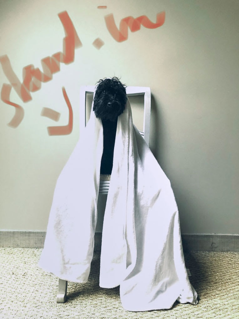 A dog wrapped in a white blanket sitting on a chair with stand in written in red lipstick over it.
