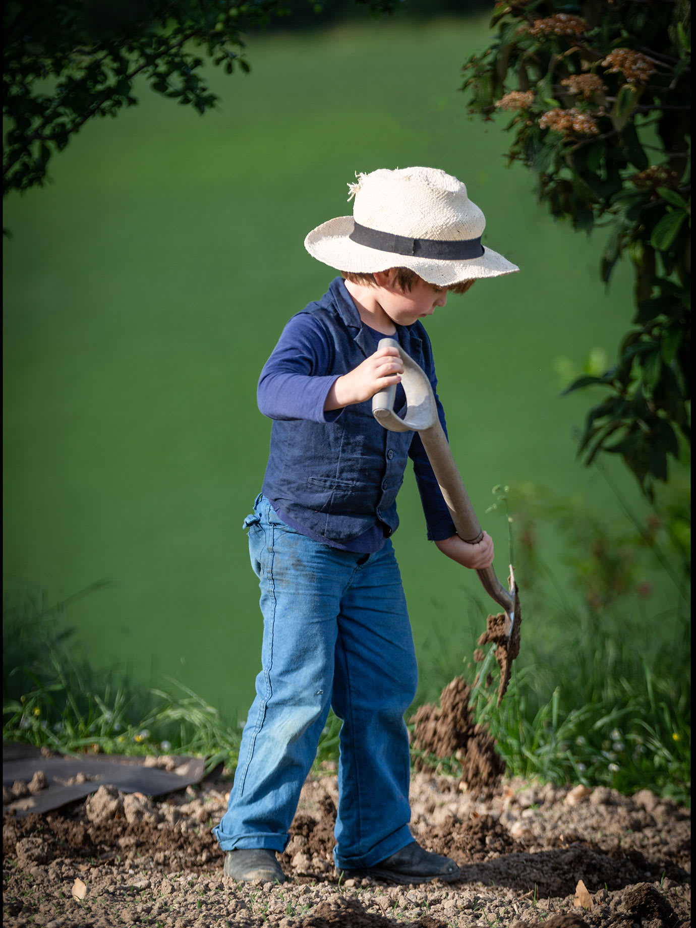 A young boy raking a garden.