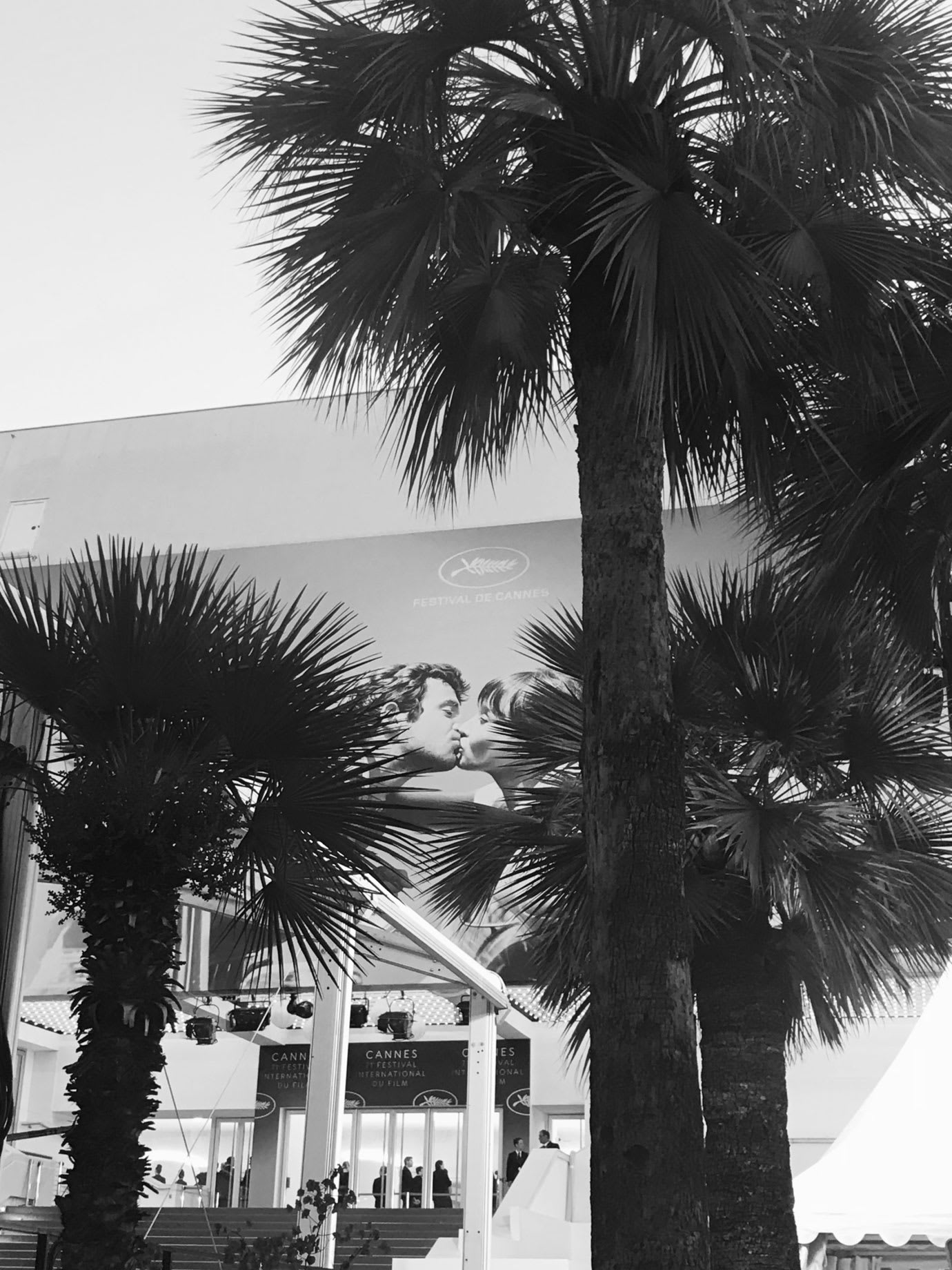 Red carpet, palm trees and a large poster with Cannes Film Festival written on it.