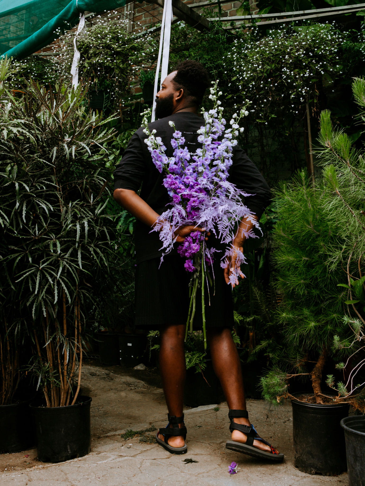 A man holding purple flowers behind his back.