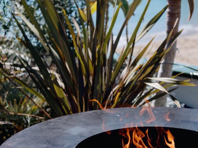 A burning fire next to a plant.