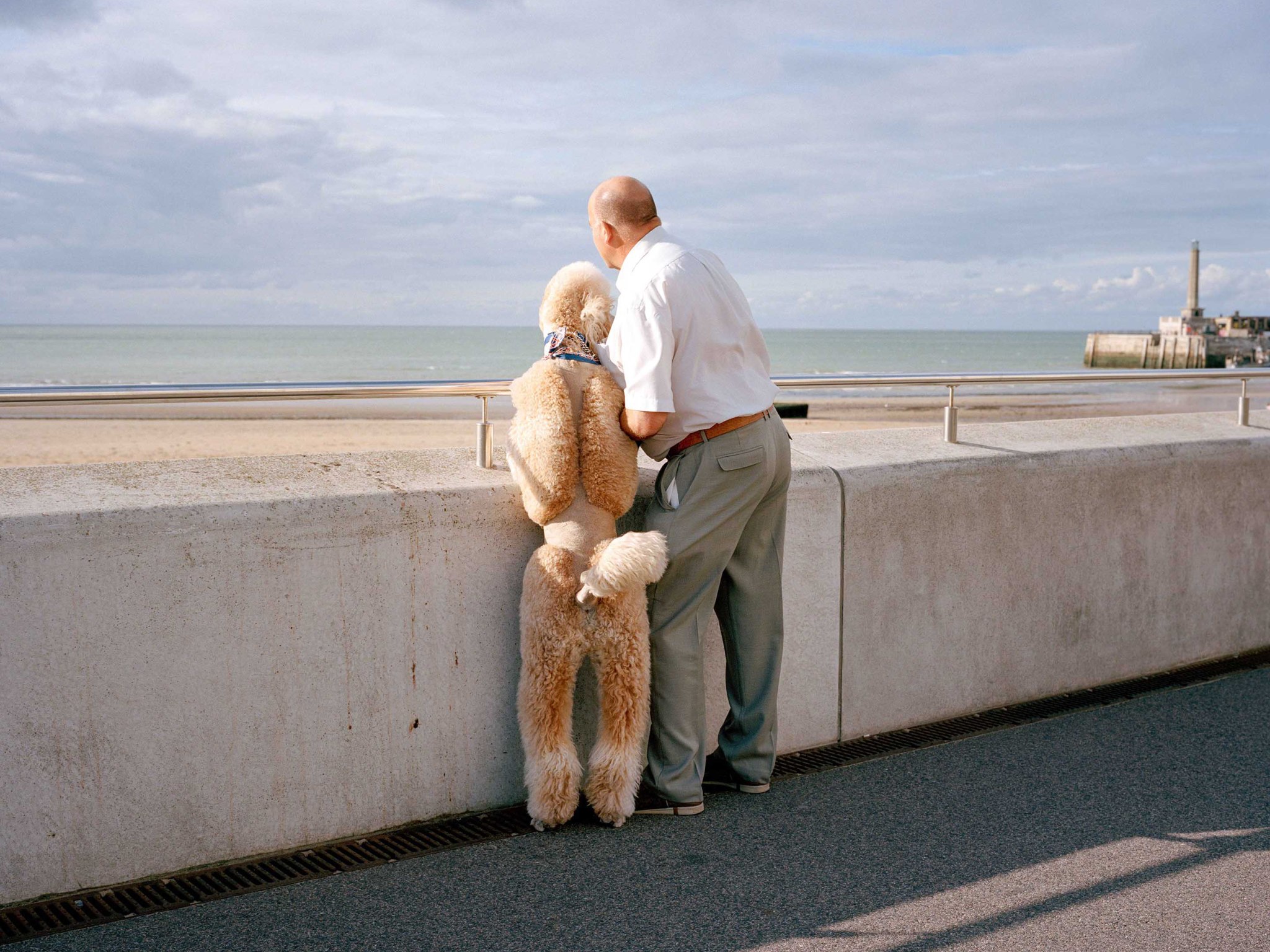 A man and a dog looking out to sea.