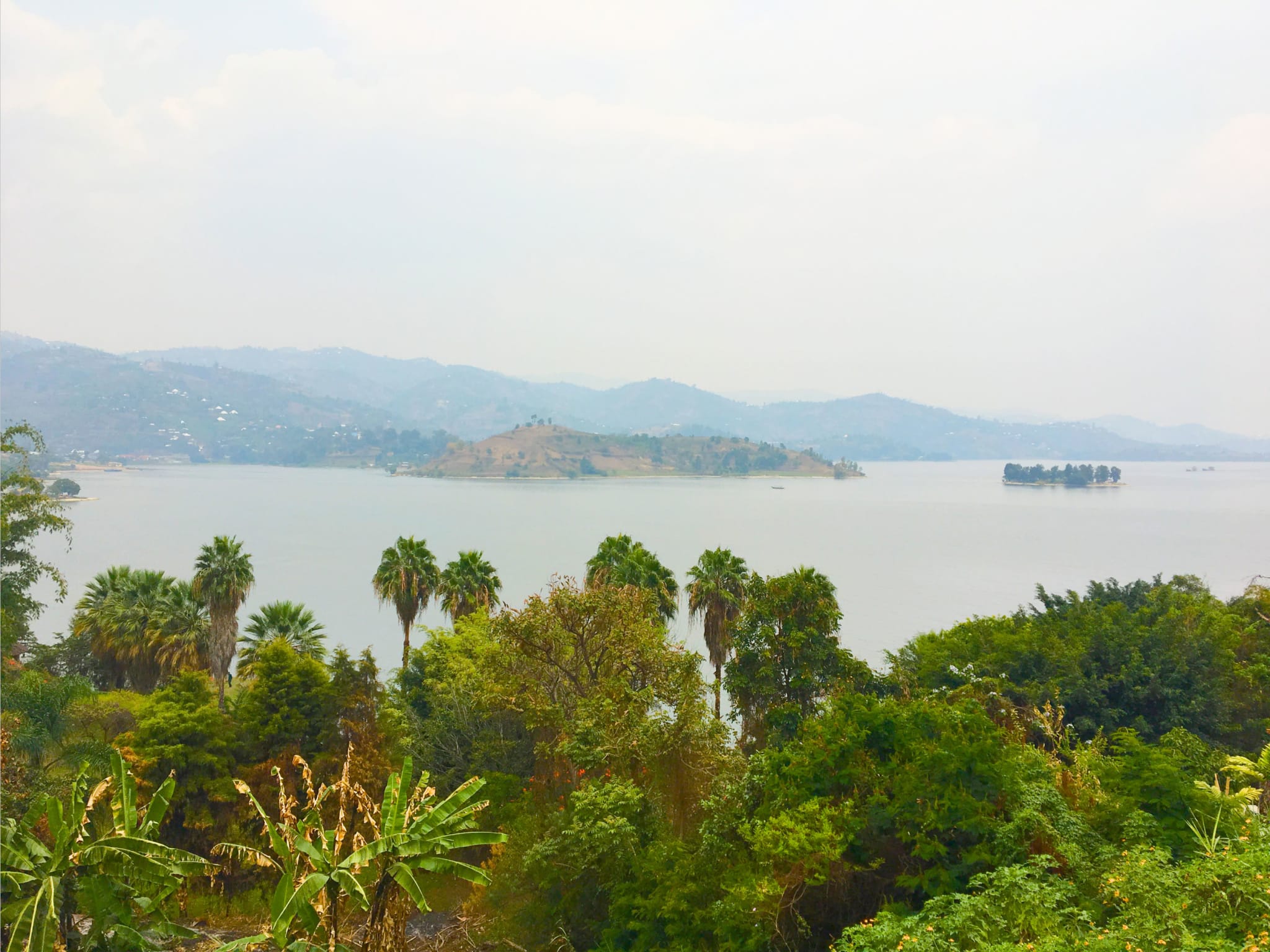 Looking over trees to a lake with an island.