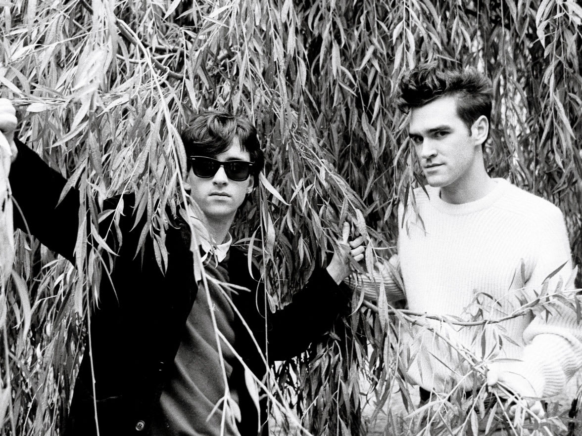 Two men standing under a willow tree.