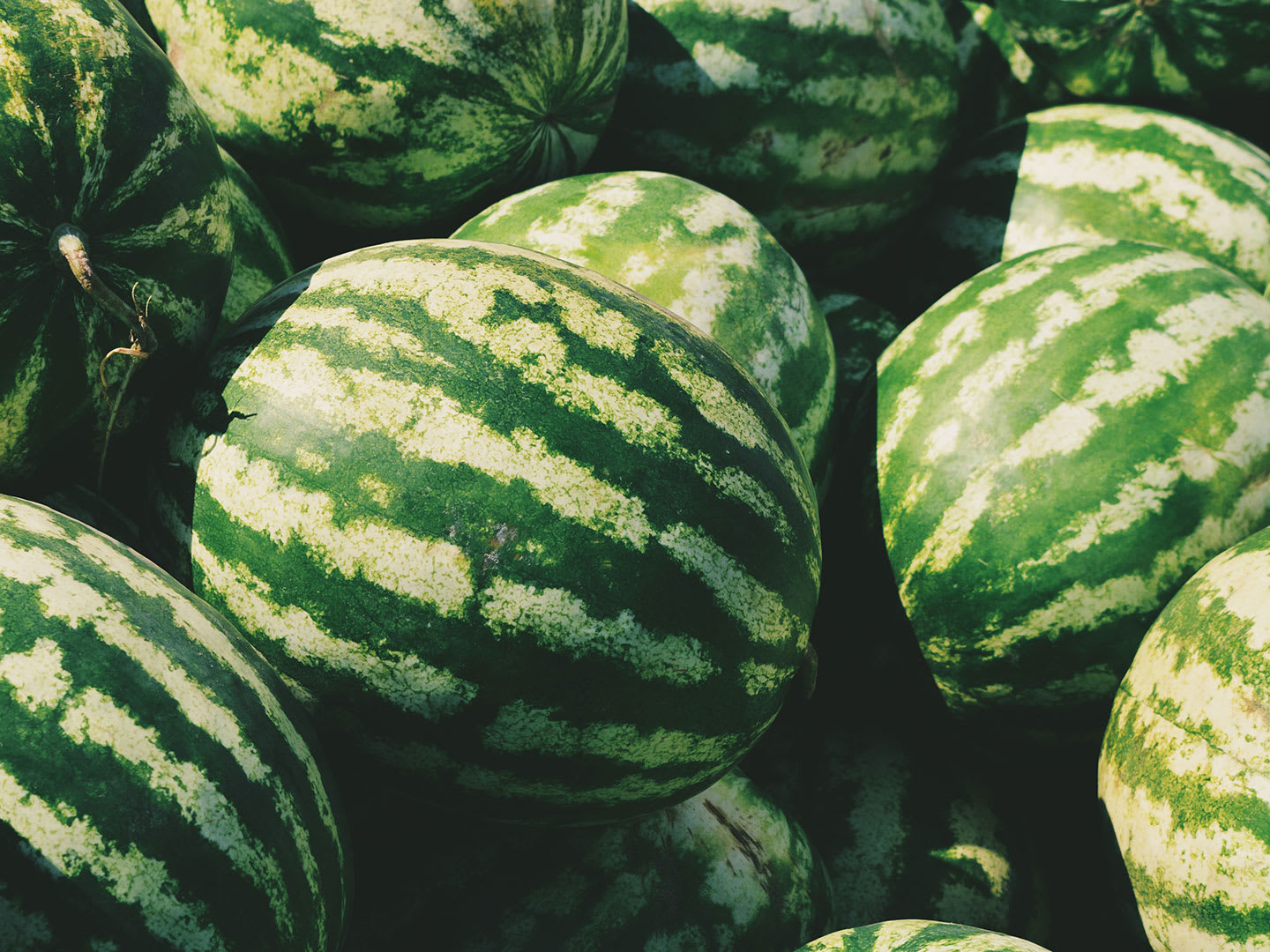 Watermelons.