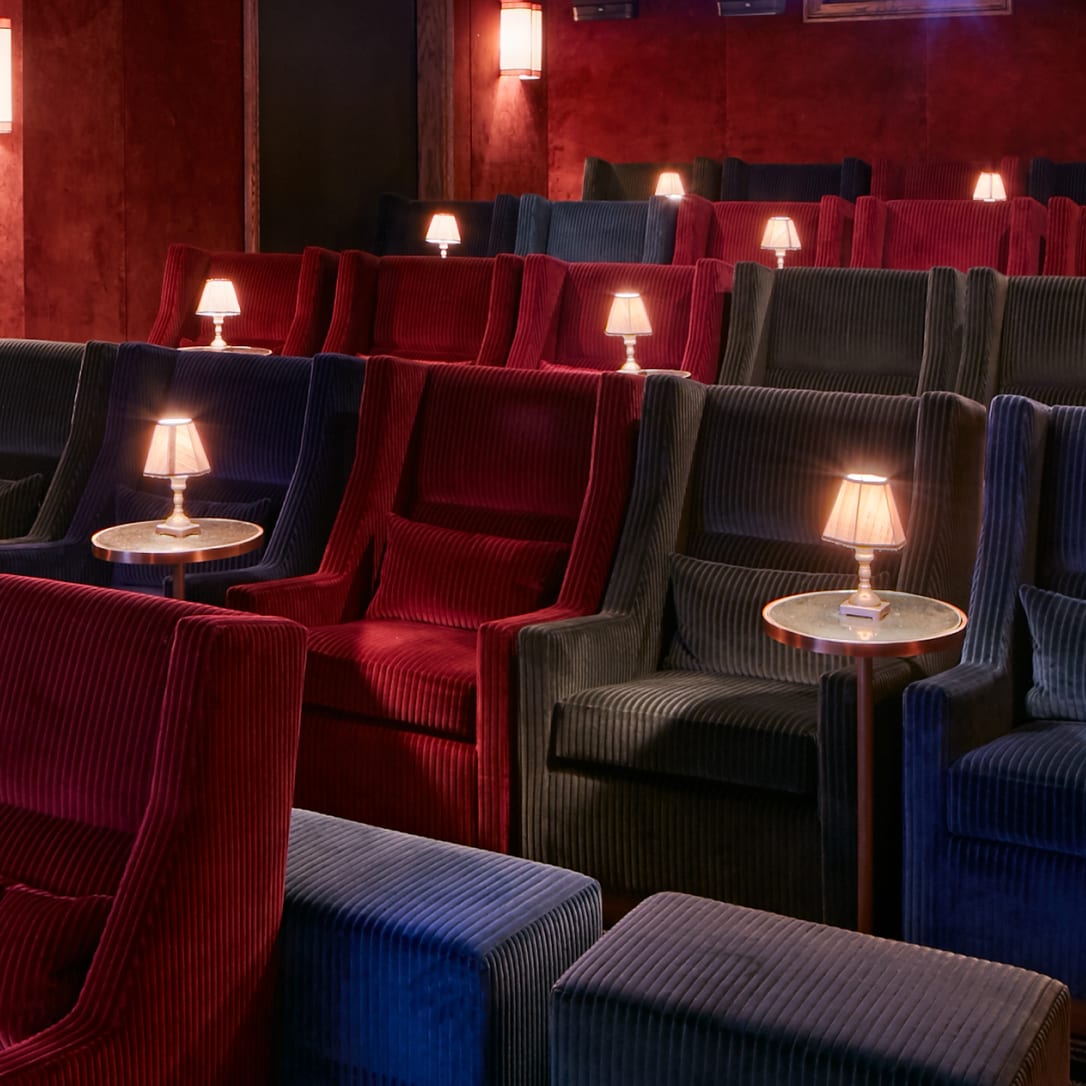Rows of multicoloured cinema seats.