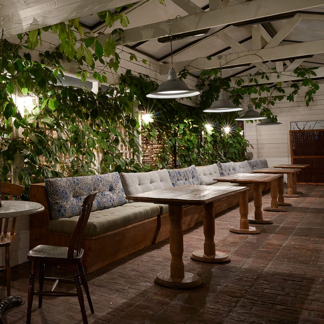 A restaurant with plants behind the tables.