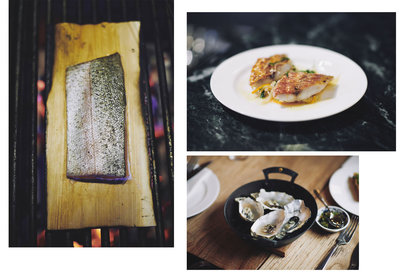 A piece of fish cooks on a wooden plank on top of a charcoal fire, two fillets of cooked fish with sauce on a plate and four open oysters on ice.