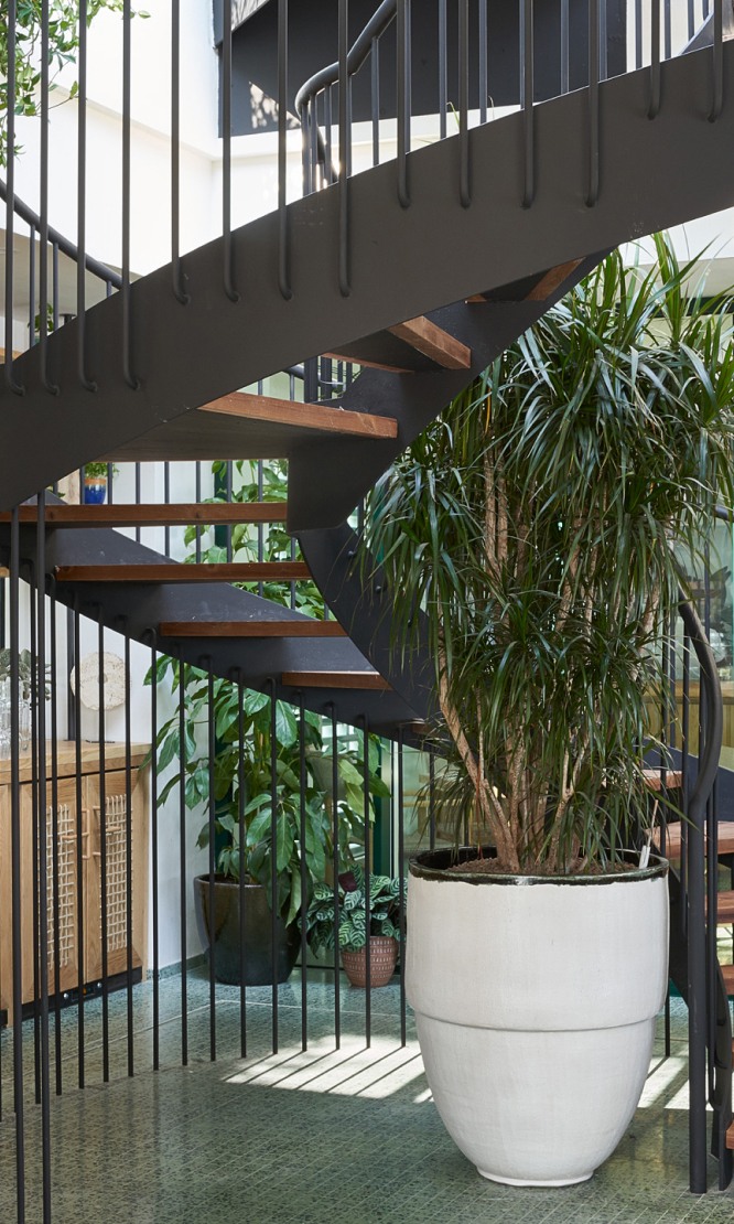 An indoor spiral staircase.