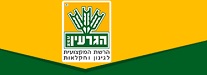 הגרעין בע"מ