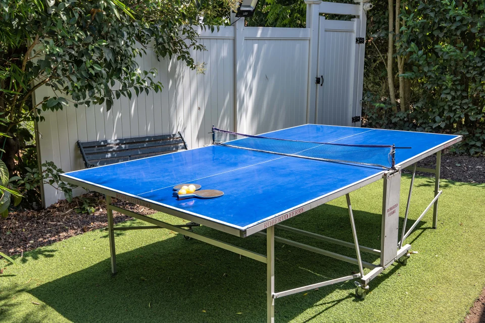 שולחן פינג פונג על דשא סינטטי בחצר של סוויטה בכפר