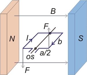 Slika tuljave v magnetnem polju