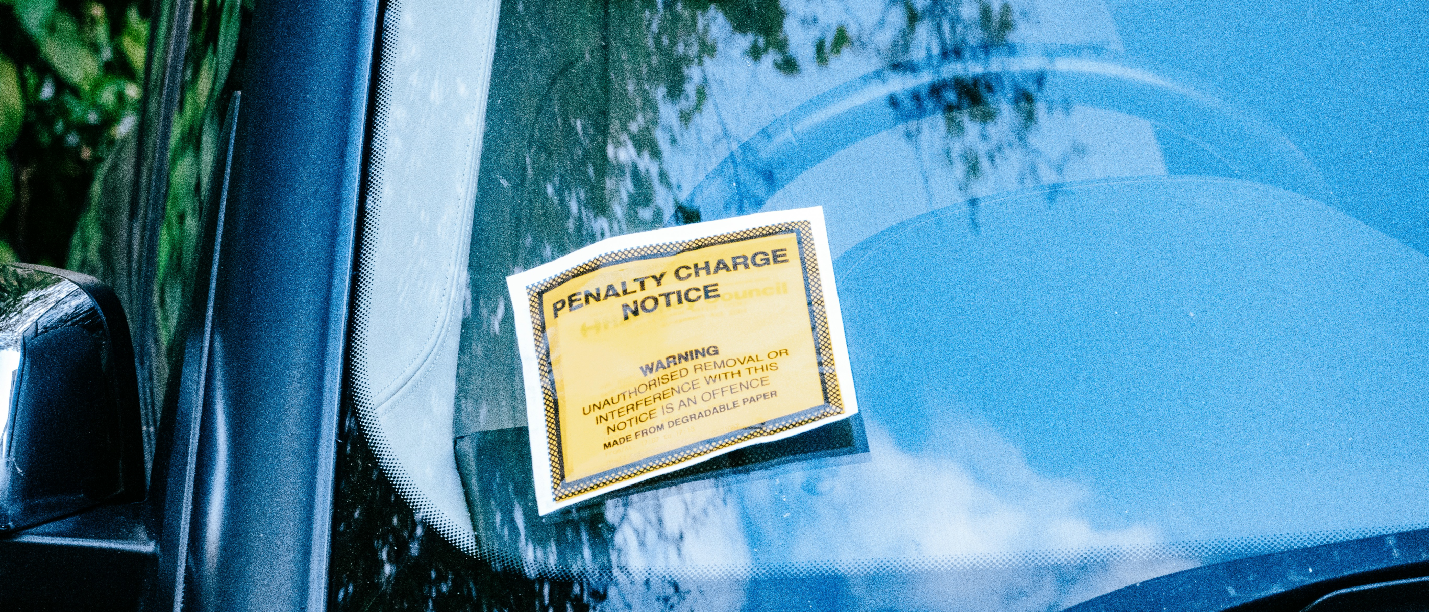 Ordinance Violations