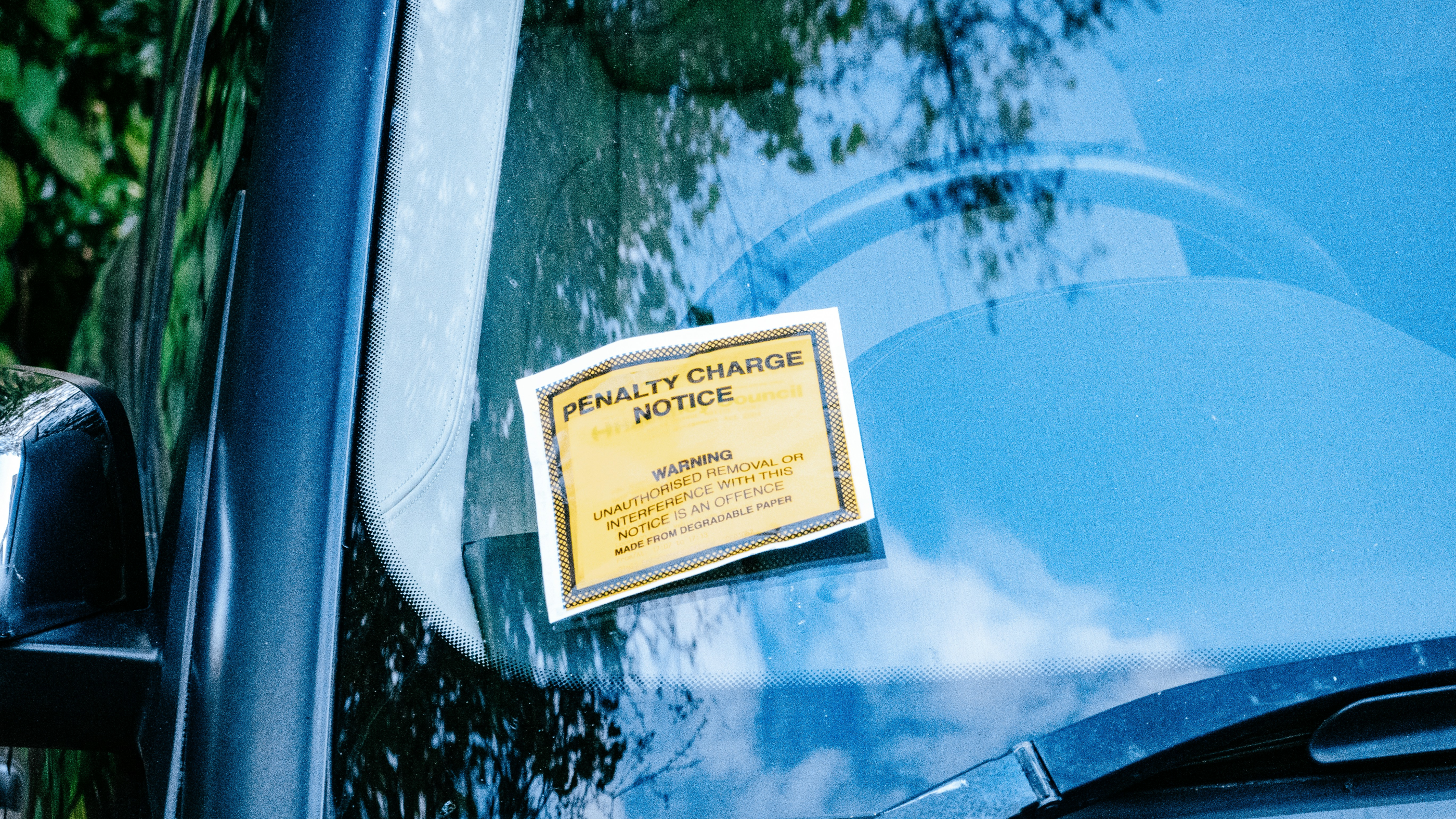 Ordinance Violations