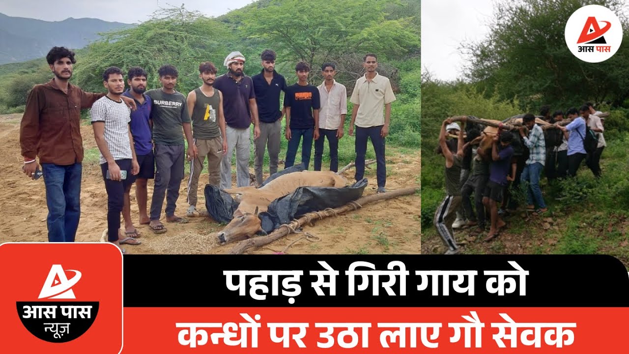 उदयपुरवाटी: गौरक्षक दल ने पहाड़ी से घायल गाय का किया सफल रेस्क्यू