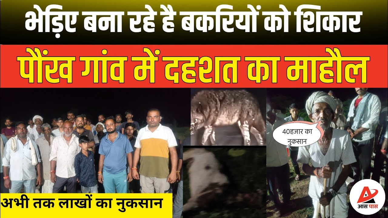 उदयपुर: जंगली जानवरों के हमले से किसानों की बकरियों की मौत, लाखों का नुकसान