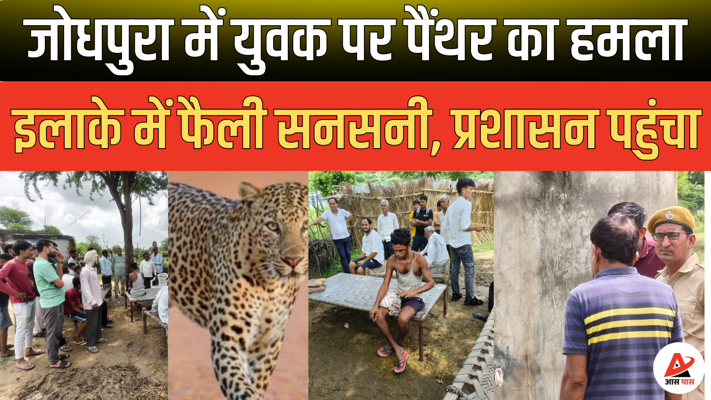 उदयपुरवाटी : जोधपुरा गांव में पैंथर के हमले से बच्चे घायल, वन विभाग और प्रशासन सतर्क