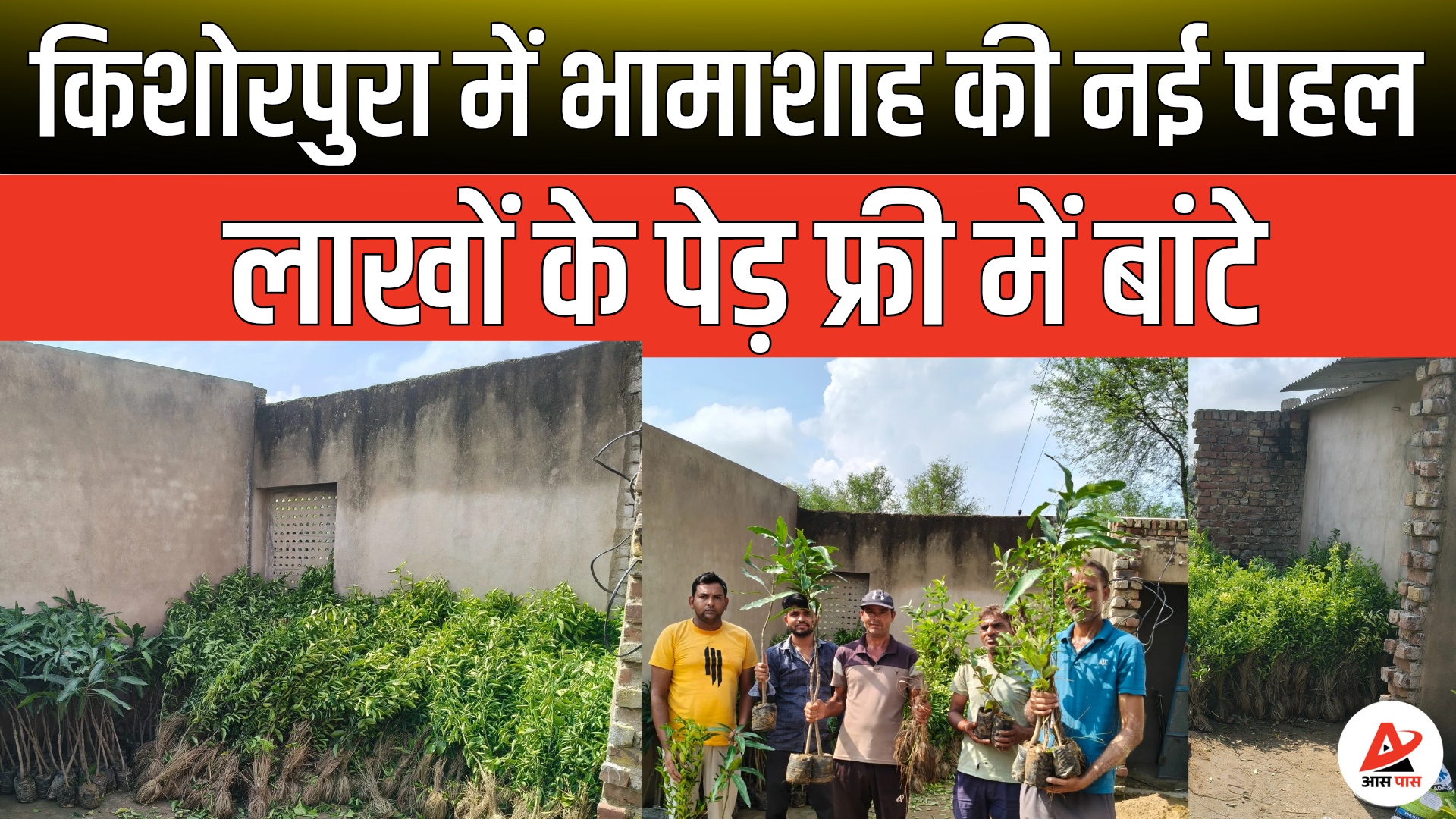 किशोरपुरा में भामाशाह सुमेर जी की हरियाली मुहिम से पर्यावरण को बड़ा सहयोग