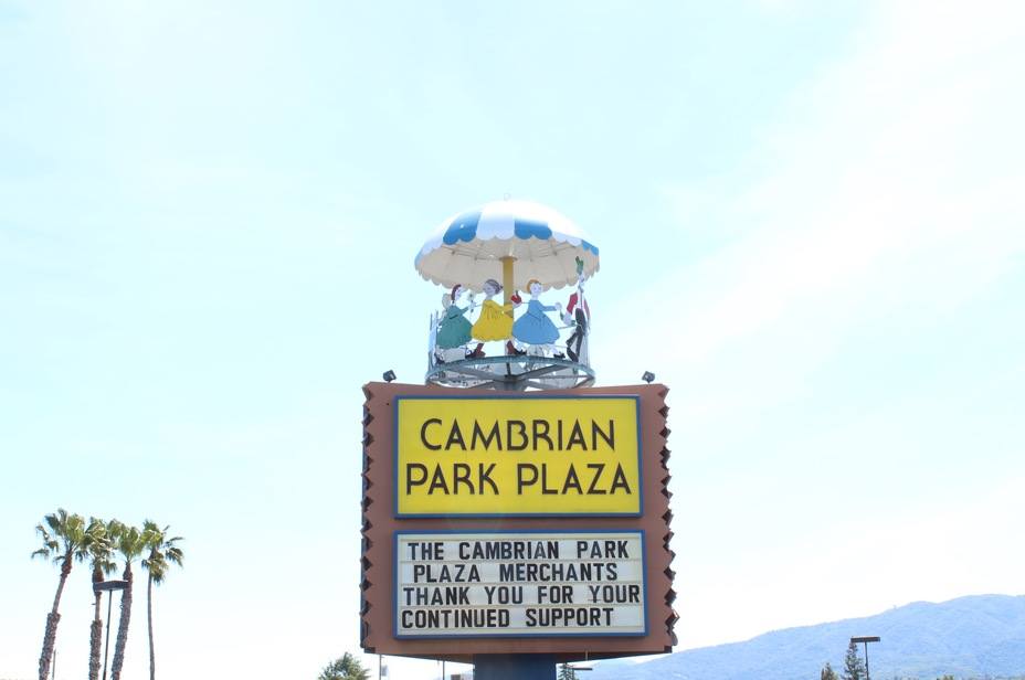 Top real estate agents in Cambrian Park, San Jose, CA.