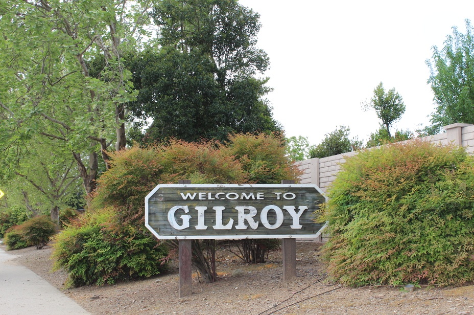 Top real estate agents in Gilroy, CA.