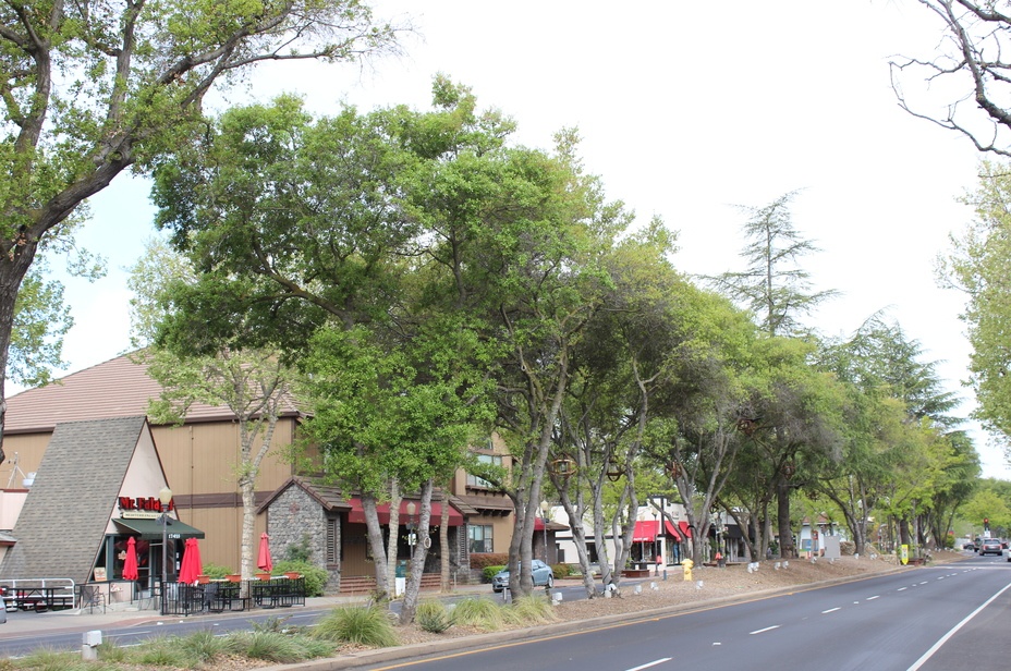 Top real estate agents in Morgan Hill, CA.