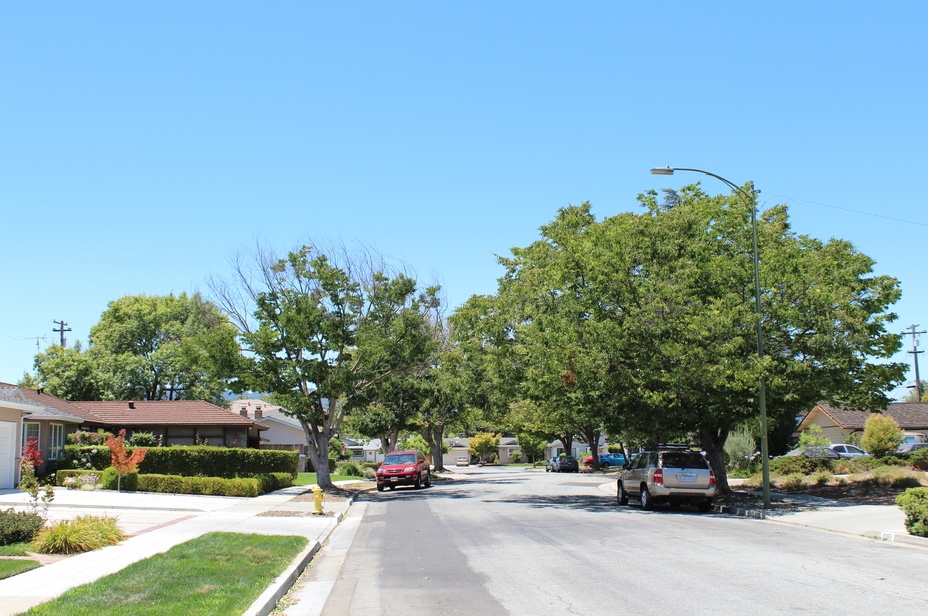 Top real estate agents in Sunnyvale, CA.