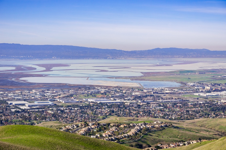 Top real estate agents in Milpitas, CA.