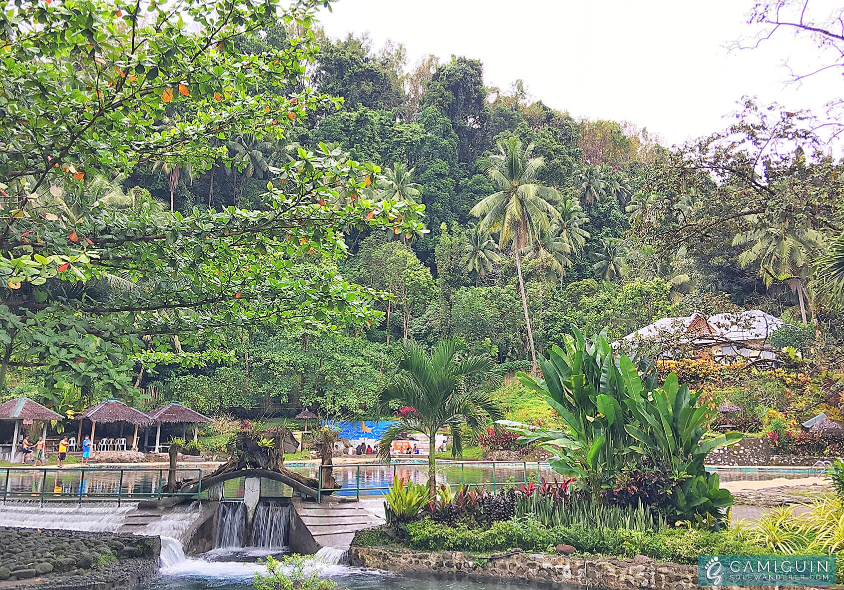Niño Cold Spring