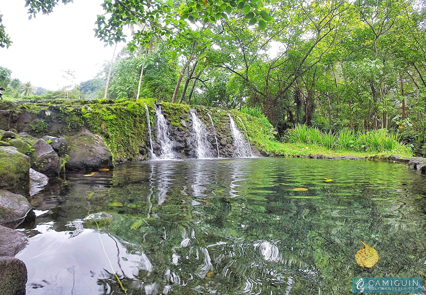 Saay Cold Spring