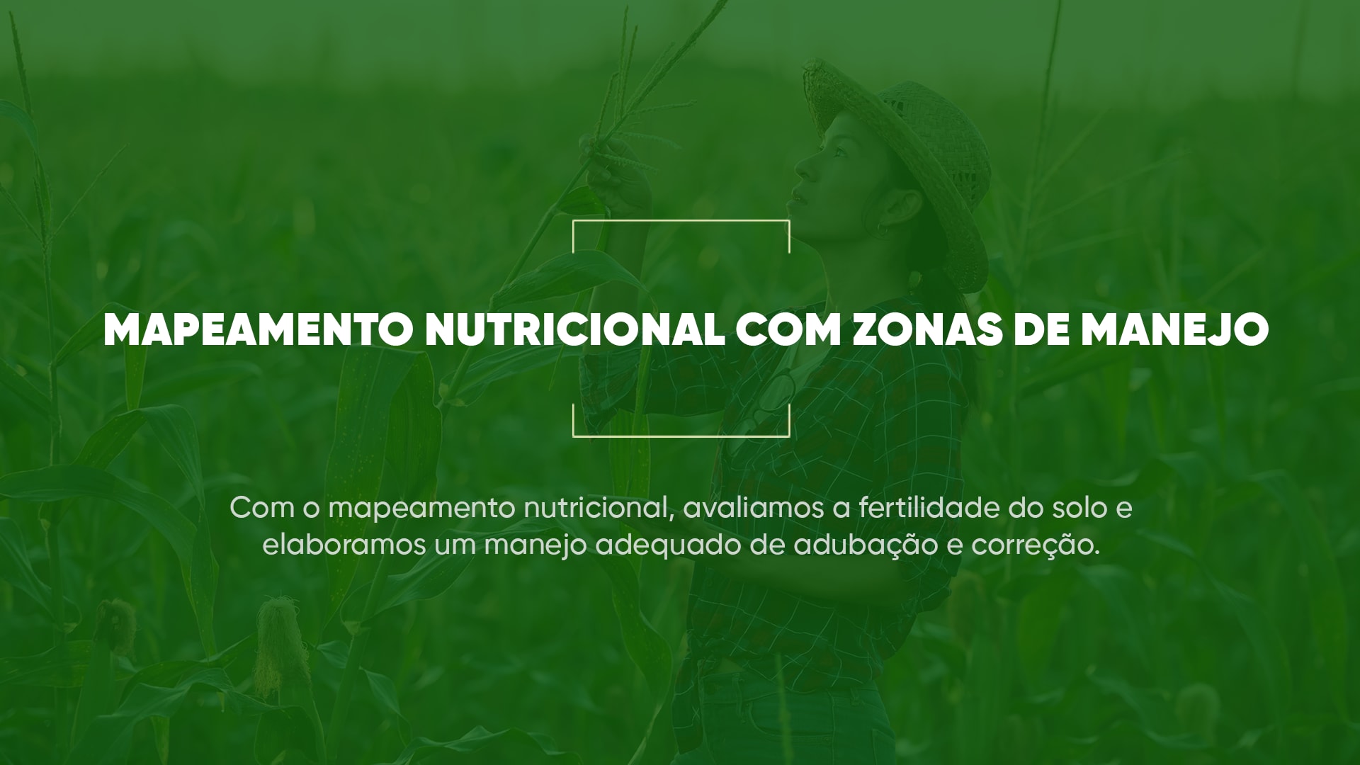 Mapeamento Nutricional 