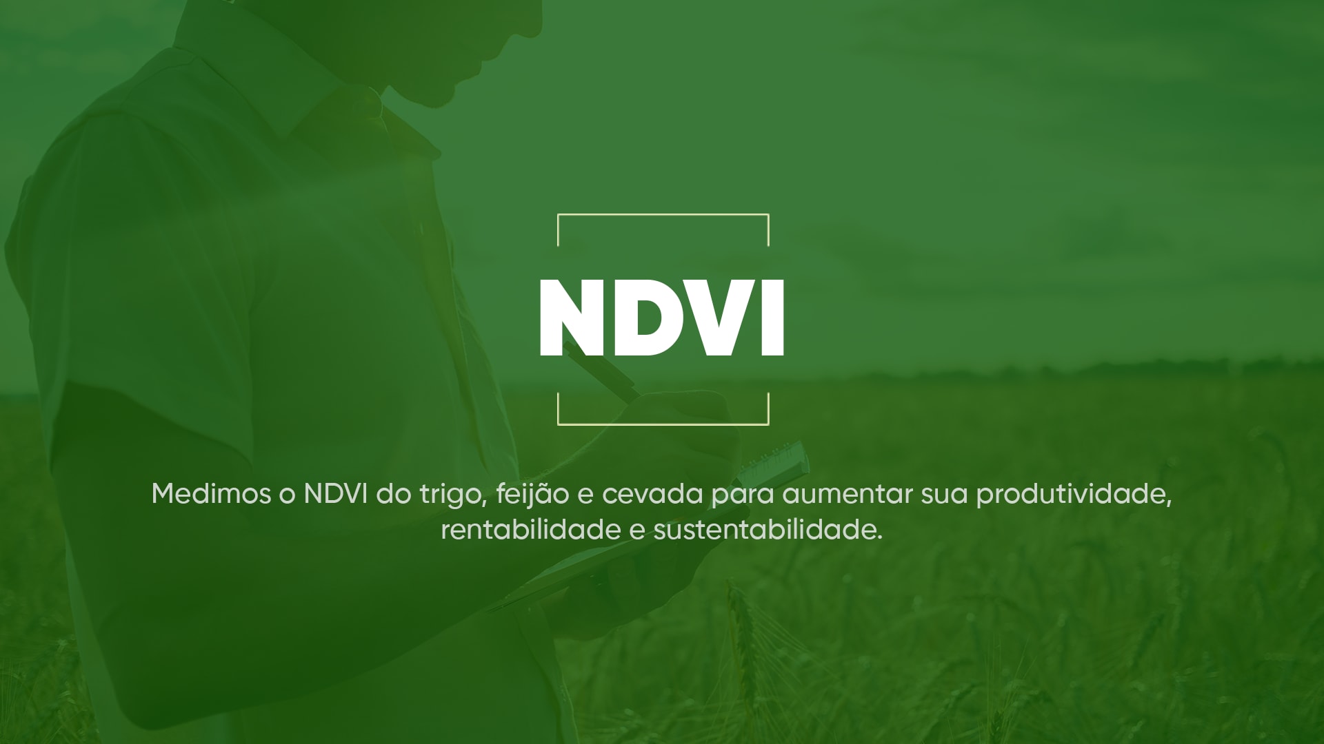 NDVI