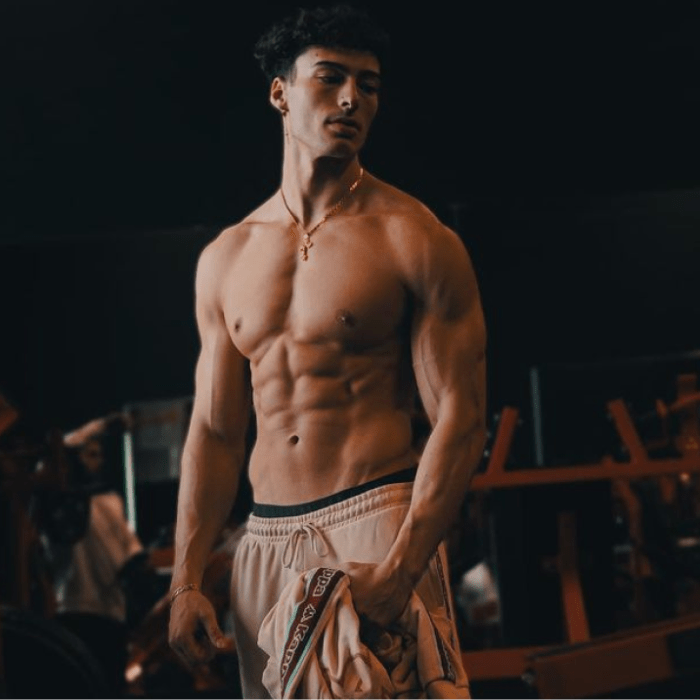 8 Wk Aesthetic Mastery Challenge Build The Body Women Admire