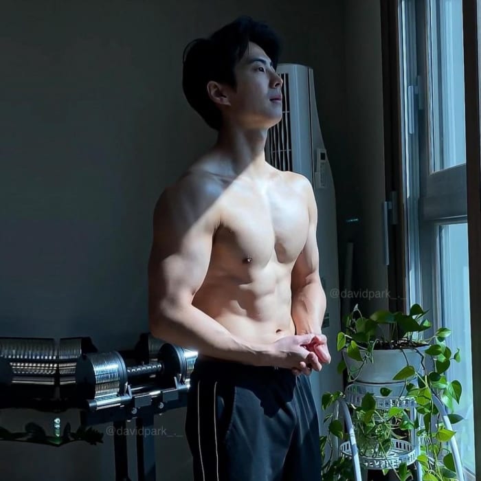 David Park