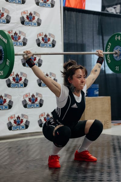 program highlights from creator