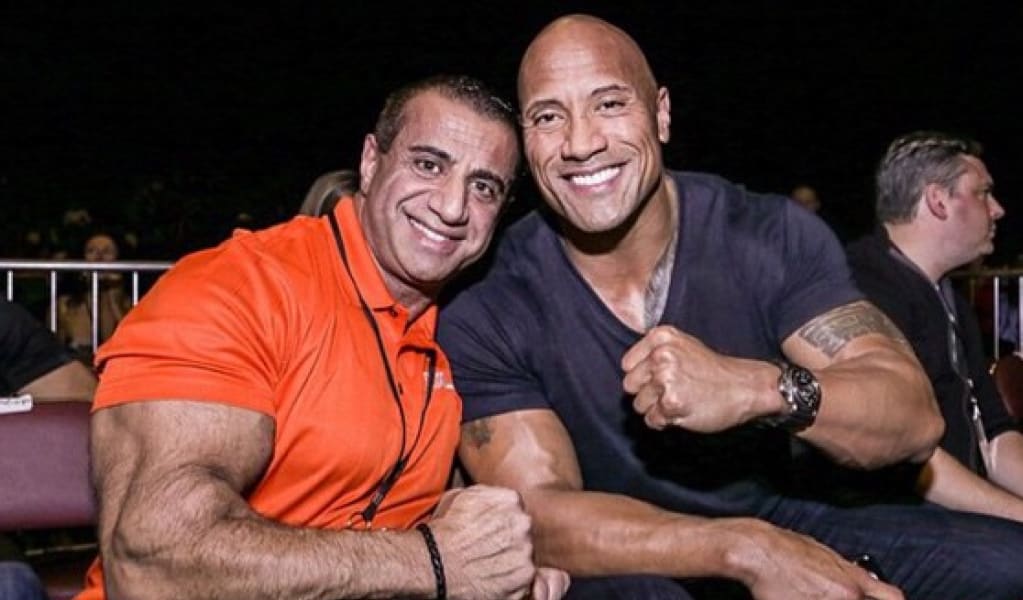 program highlights from creator