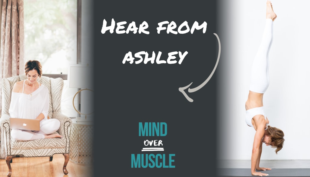 program highlights from creator