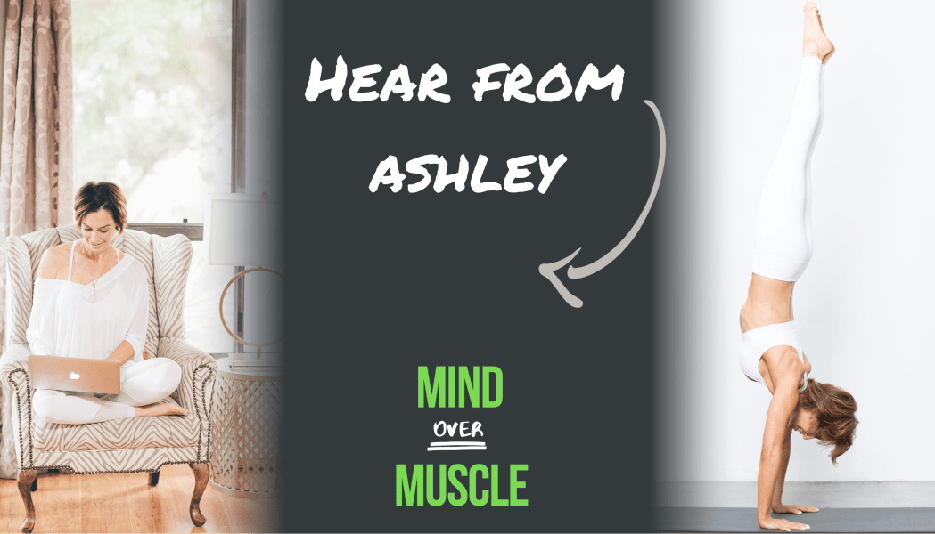 program highlights from creator