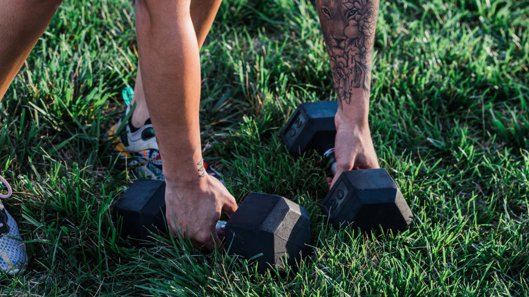 program highlights from creator