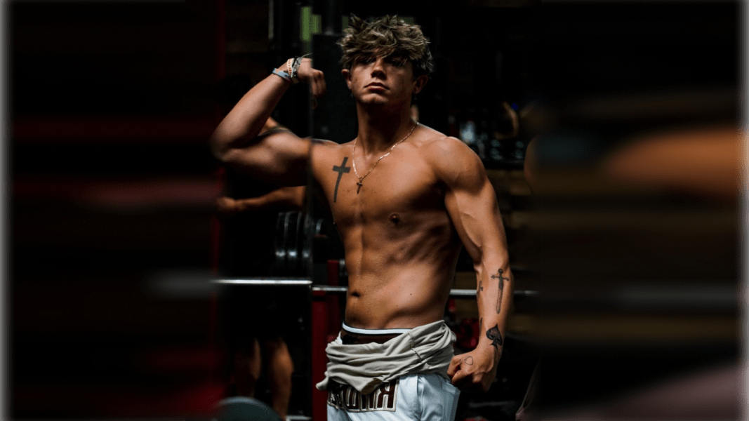 program highlights from creator