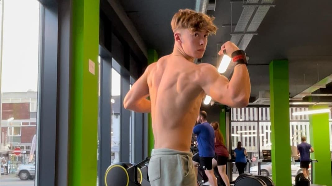 program highlights from creator