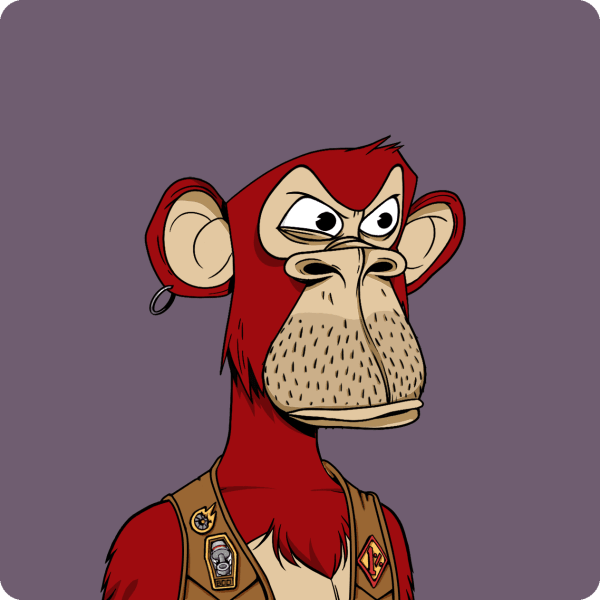 program highlights from creator