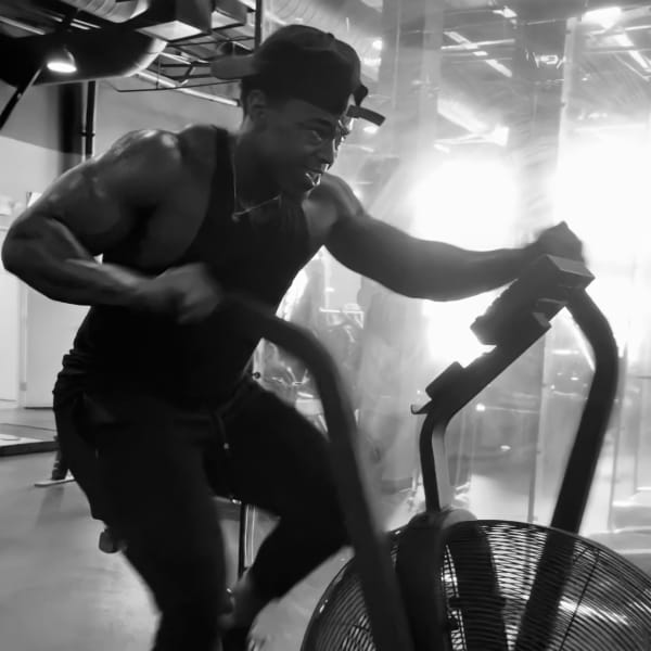 program highlights from creator