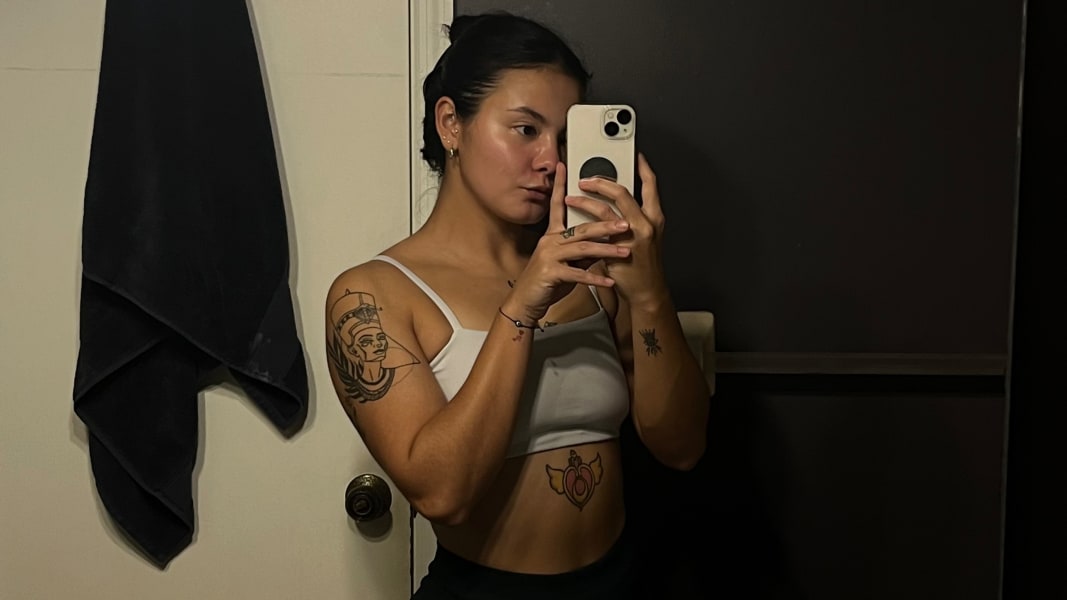 program highlights from creator