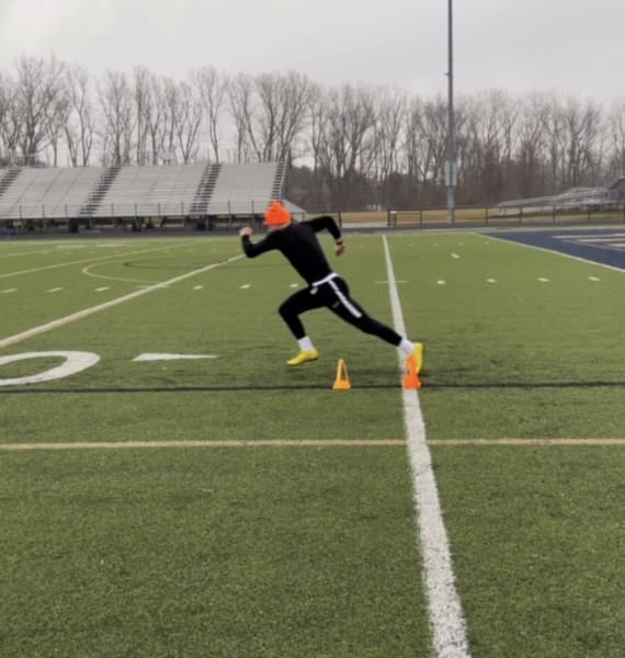 program highlights from creator