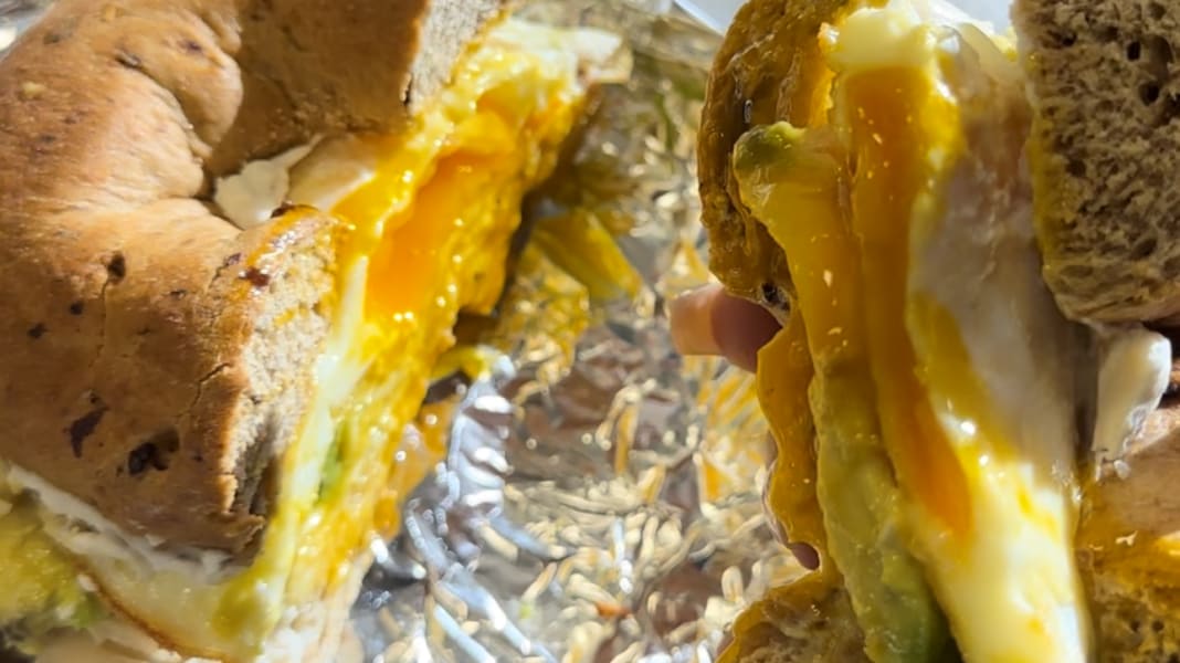 program highlights from creator