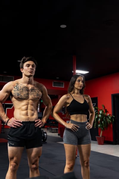 program highlights from creator