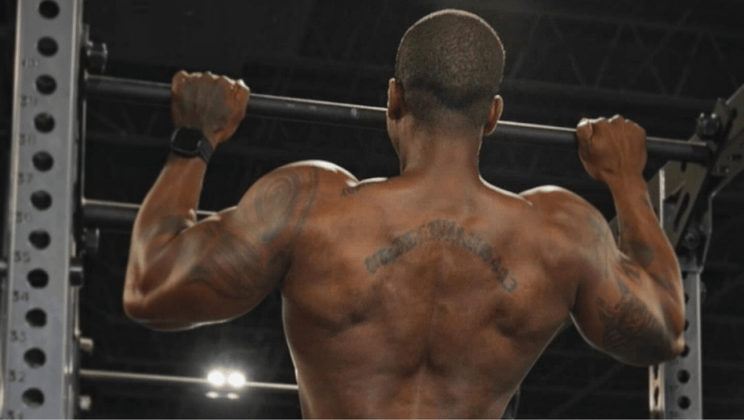 program highlights from creator