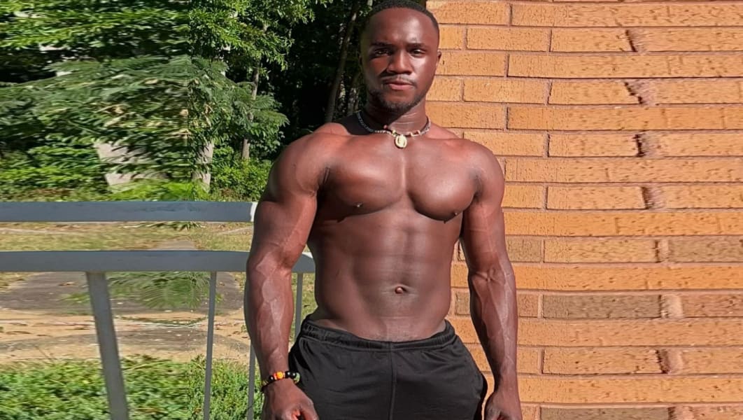 program highlights from creator